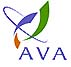 AVA